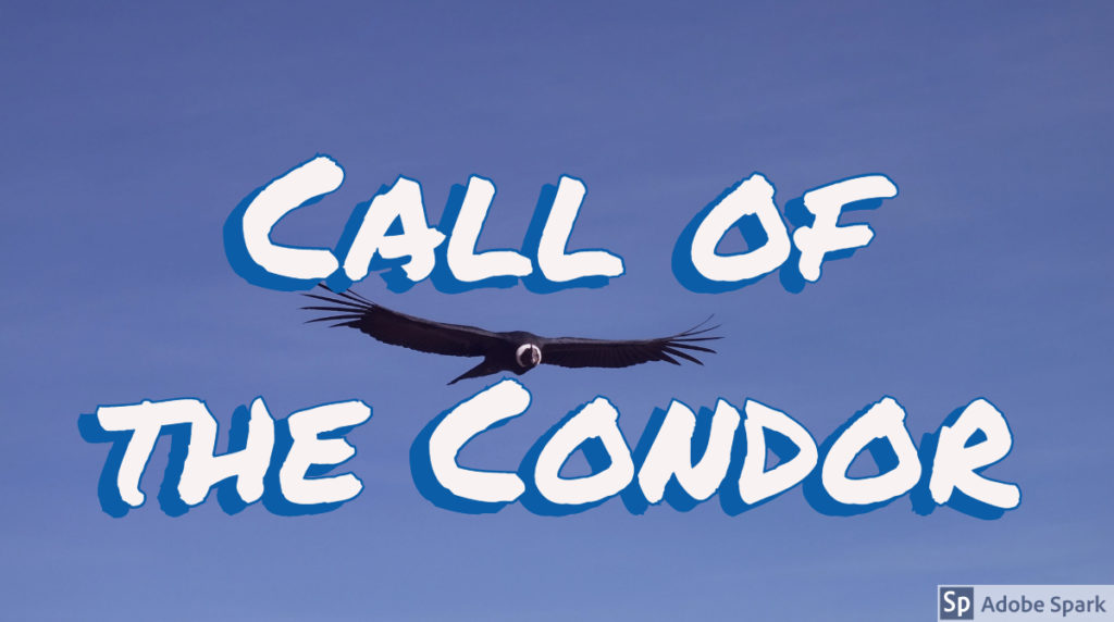 Banner with the eagle and the text "Call of the Condor"