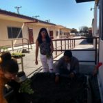Teenagers are planting plants