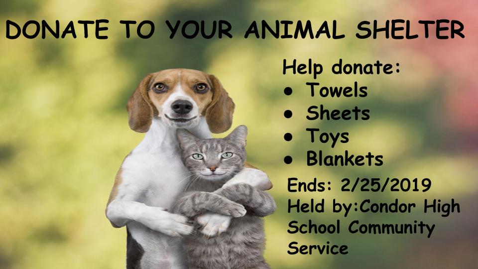 Donate to Animal Shelter • Condor High School