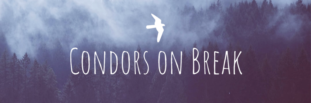 Banner of "Condors on Break"