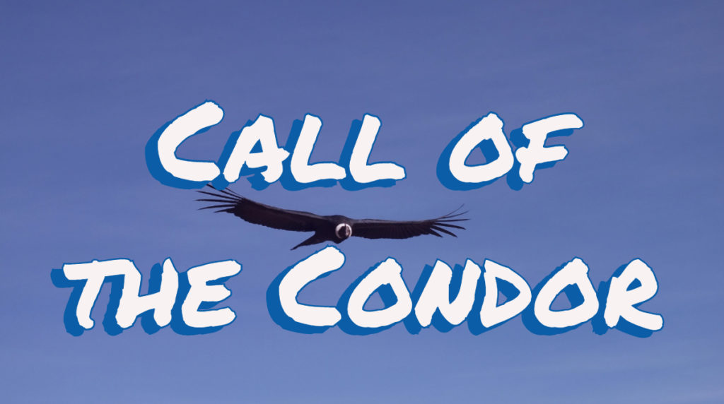 Banner - Call of the Condor
