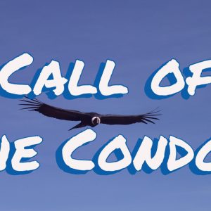 Banner with the eagle and the text 