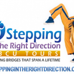Banner of Stepping in the night direction